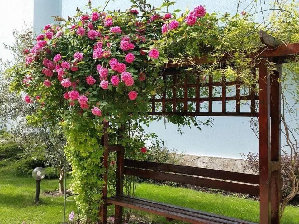 Ясен Ваканционно Селище Слънчев бряг Екстериор снимка